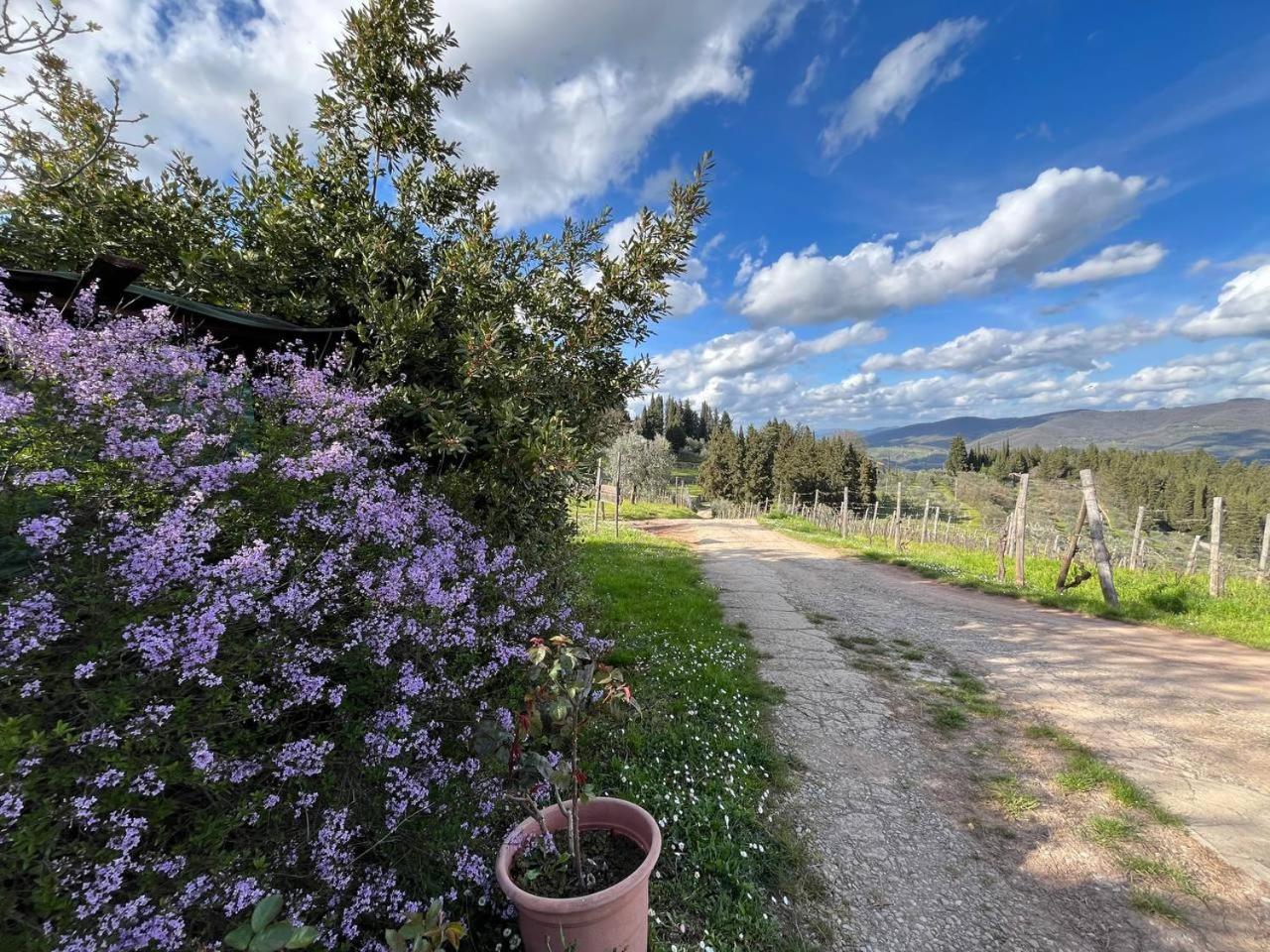 Penzion Il Cascino Greve in Chianti Exteriér fotografie