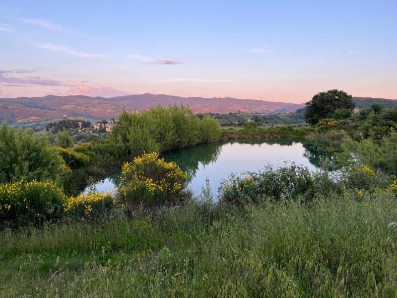 Penzion Il Cascino Greve in Chianti Exteriér fotografie